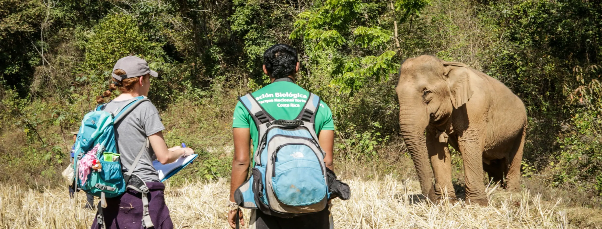 Image for Wildlife Conservation